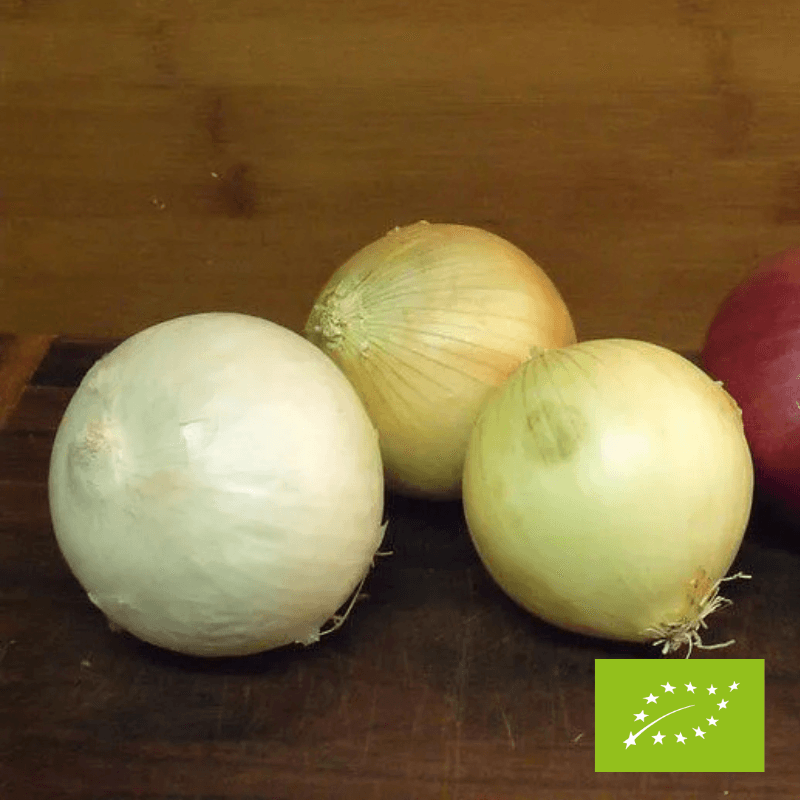 Cebulka EKO 1 kg